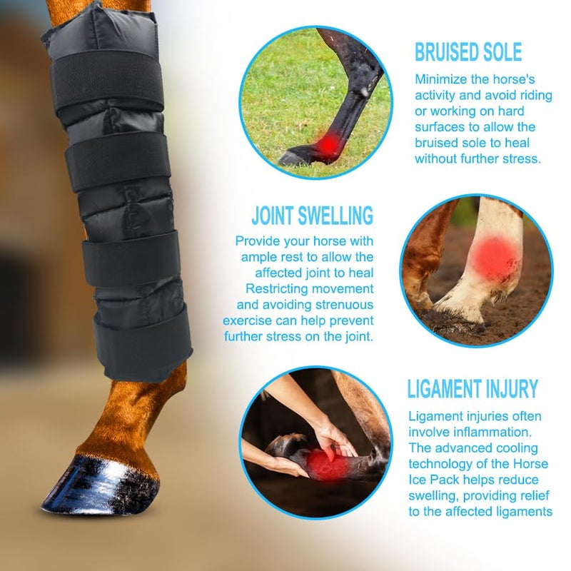 WORLD-BIO Horse Ice Boots (2pcs)/Horse Ice Pack for Injuries/Swelling, Horse Leg Ice Wraps with Flexible Straps for Horse Hock, Ankle, Knee, Legs&Horse Hooves,& Horse Gift Ideas for Horse Lovers-Black - Image 5