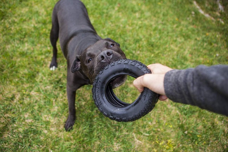 Mammoth TireBiter II Dog Toy 6" W - Pack of 2 - Image 2