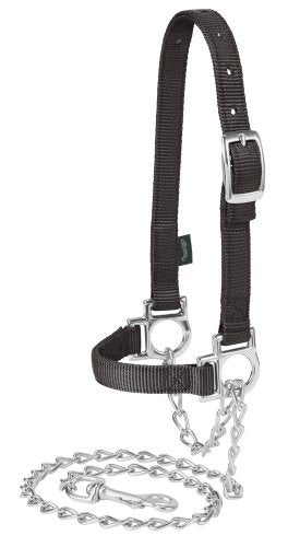 Weaver Leather Livestock Nylon Adjustable Sheep Halter with Chain Lead , Black - Image 3