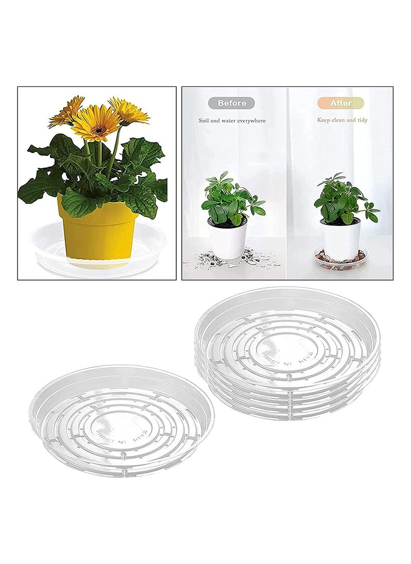 Y&D - Hydroponic Vase, Plant Saucer, Cultivation, Clear Plastic Round Planter Tray for Indoors & Outdoors, Flower Pot Saucers Plants Water Containers with No Holes - 6Inch, 5 Pack - Image 1