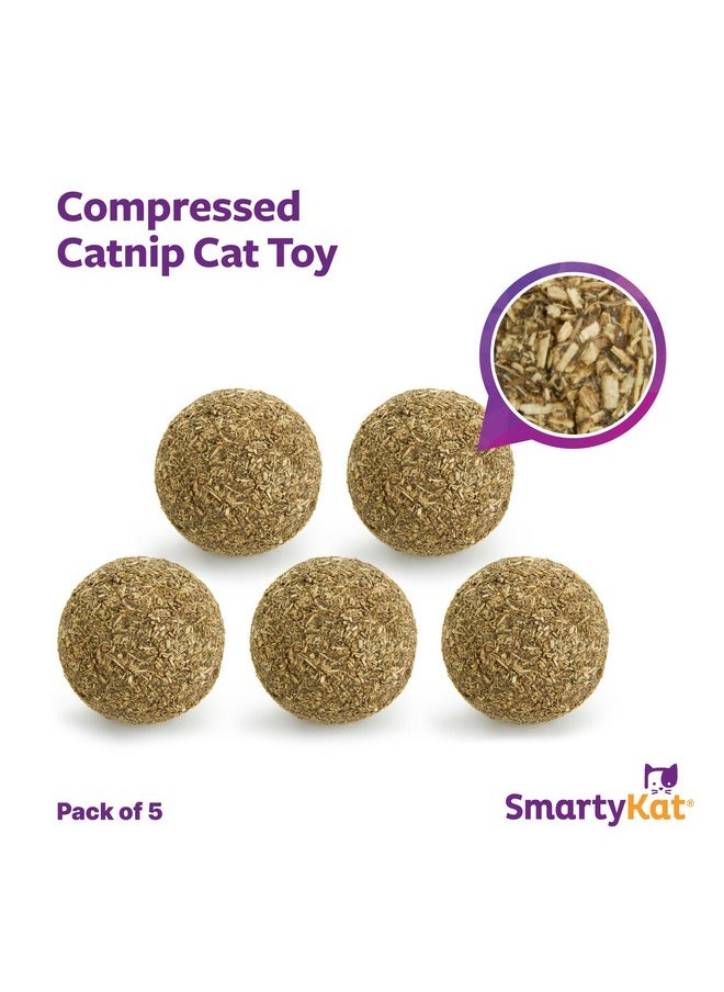 SmartyKat SmartyKat Catnip Kiss Compressed Catnip Ball Toy - Natural, One Size  - Image 4
