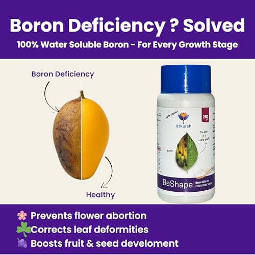 Utkarsh Boron 20% Micronutrient Fertilizer for Plants – 250 gm, Boosts Vegetable, Fruit & Flower Growth | 100% Water Soluble Boron EDTA Chelated Powder for Healthy Garden Plants | BeShape; Pack of 1 - Image 2