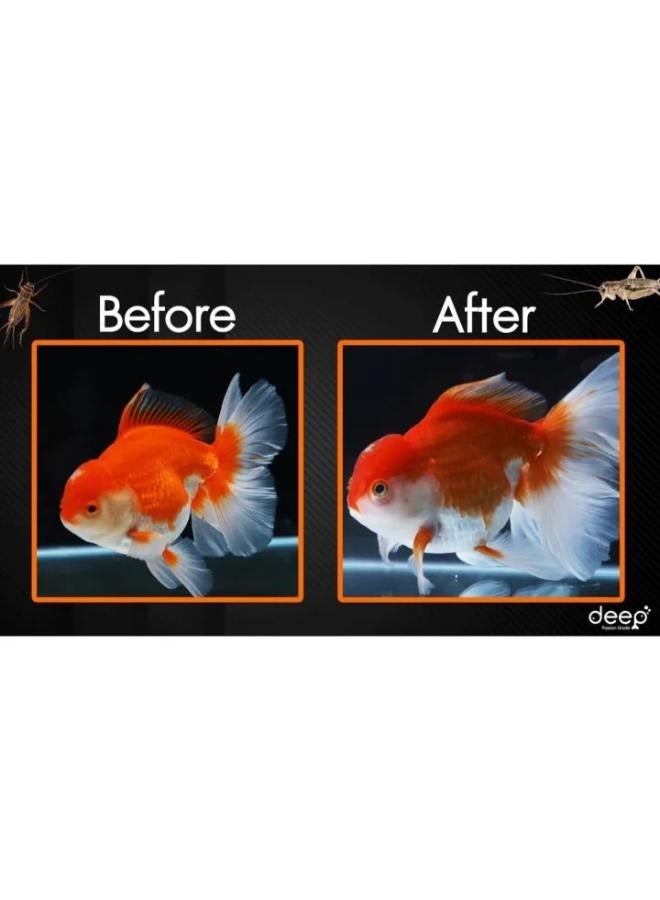 Deep Insect Inside Goldfish 100g Floating - Image 2