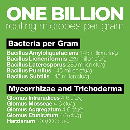 TPS NUTRIENTS Billions Concentrated Microbial Root Enhancer, 100% Water-Soluble with Mycorrhizae, Bacteria and Trichoderma, 8 oz (1/2 Pound) - Image 4