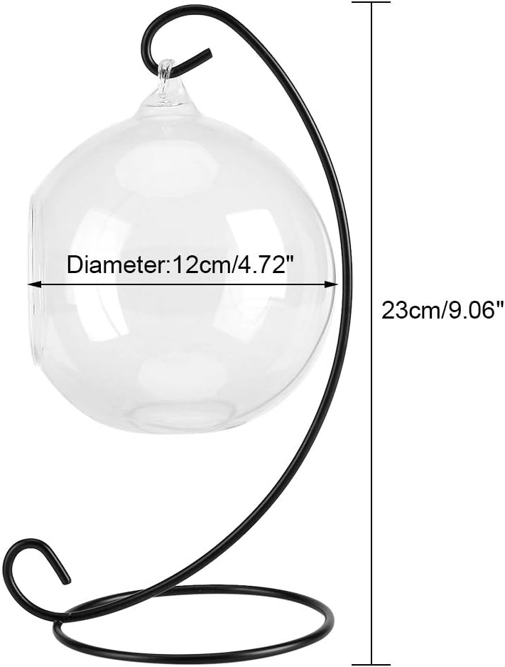 klarako Air Plant Terrarium Kit with Stand, Hanging Glass VaseTerrarium Globe with Metal Ornament Display Stand Tabletop Glass Terrarium for Air Plants Succulent Planters Small Plants - Image 5