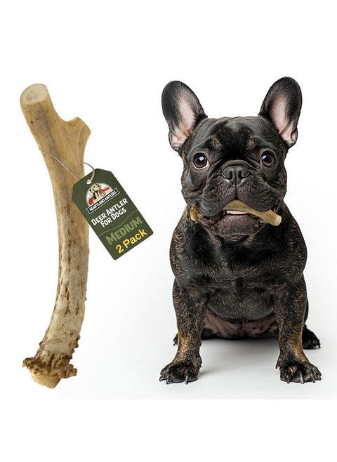 Heartland Deer Antlers for Dogs - Grade A, Naturally Shed Antlers | Dog Bones for Aggressive Chewers & Teething Puppies | Chew Toy for All Breeds | USA Made & Veteran Owned (Medium: 5-6", 2-Pack)