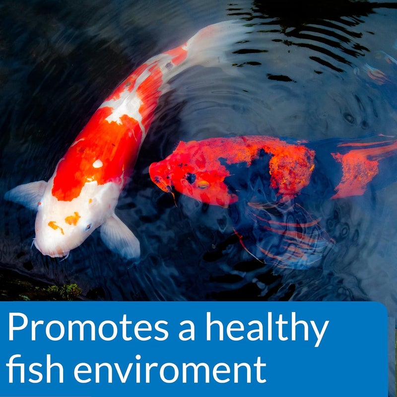 API Pond Ecofix Sludge Destroyer - Natural Bacteria Pond Cleaner and Sludge Remover, 64-Ounce Bottle - Image 3