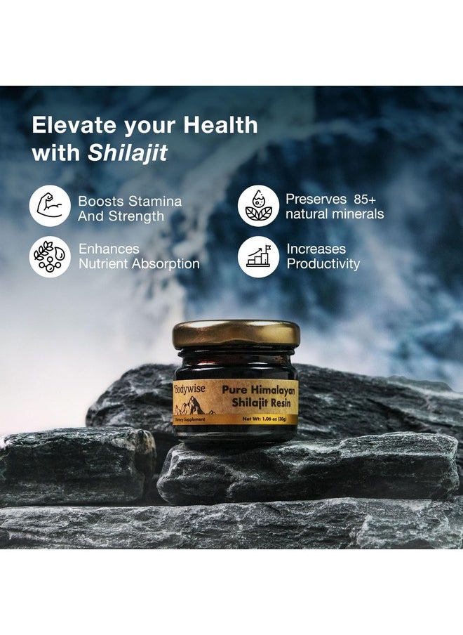 Be Bodywise Be Bodywise Pure Himalayan Organic Shilajit Resin - Pack of 2 I Lab Tested I 100% Authentic & Natural I 75%+ Fulvic Acid & 85+ Trace Minerals | Heavy Metal Free I for Men & Women I 600 mg I 60 gm.  - Image 3