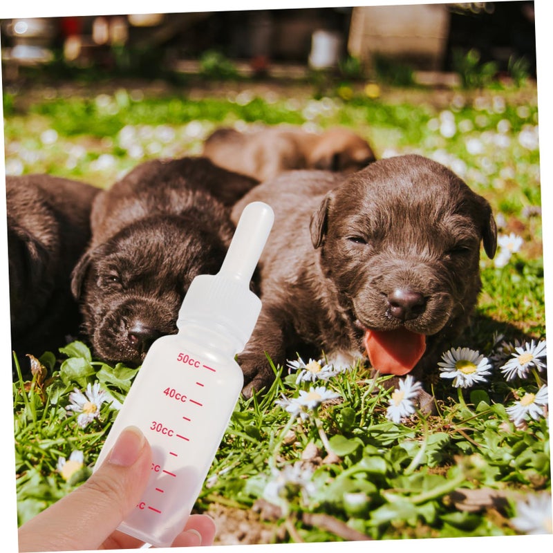 3Pcs Pet Nursing Bottles For Kittens And Puppies Milk Replacement Feeding - Image 4
