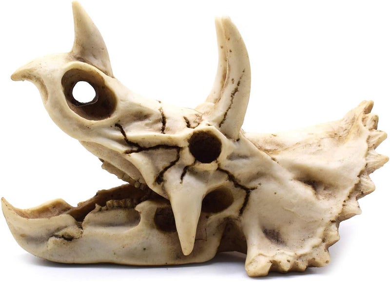 SHTWX Field test upgraded craftsmanship Resin Dinosaur Skeleton Triceratops Imitation Skull Model Home Office Display Decorative Decoration 7x4.7x4 Inch Simple multi-feature practical build - Image 4