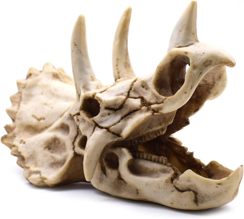 SHTWX Field test upgraded craftsmanship Resin Dinosaur Skeleton Triceratops Imitation Skull Model Home Office Display Decorative Decoration 7x4.7x4 Inch Simple multi-feature practical build - Image 1