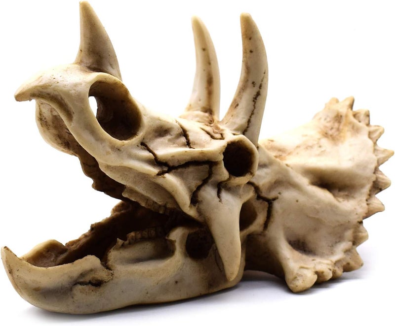 SHTWX Field test upgraded craftsmanship Resin Dinosaur Skeleton Triceratops Imitation Skull Model Home Office Display Decorative Decoration 7x4.7x4 Inch Simple multi-feature practical build - Image 3