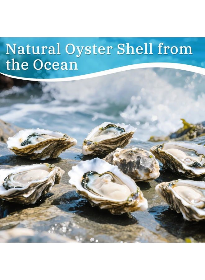 APUDWN 16 Set Oyster Shells for Crafts 4-5 Inch DIY Natural Concave Oyster Shell Craft Kits with Decoupage Paper Napkin Glue Paint and Brushes for Christmas, Beach Themes, Bridal Shower, Wedding Decor - Image 2