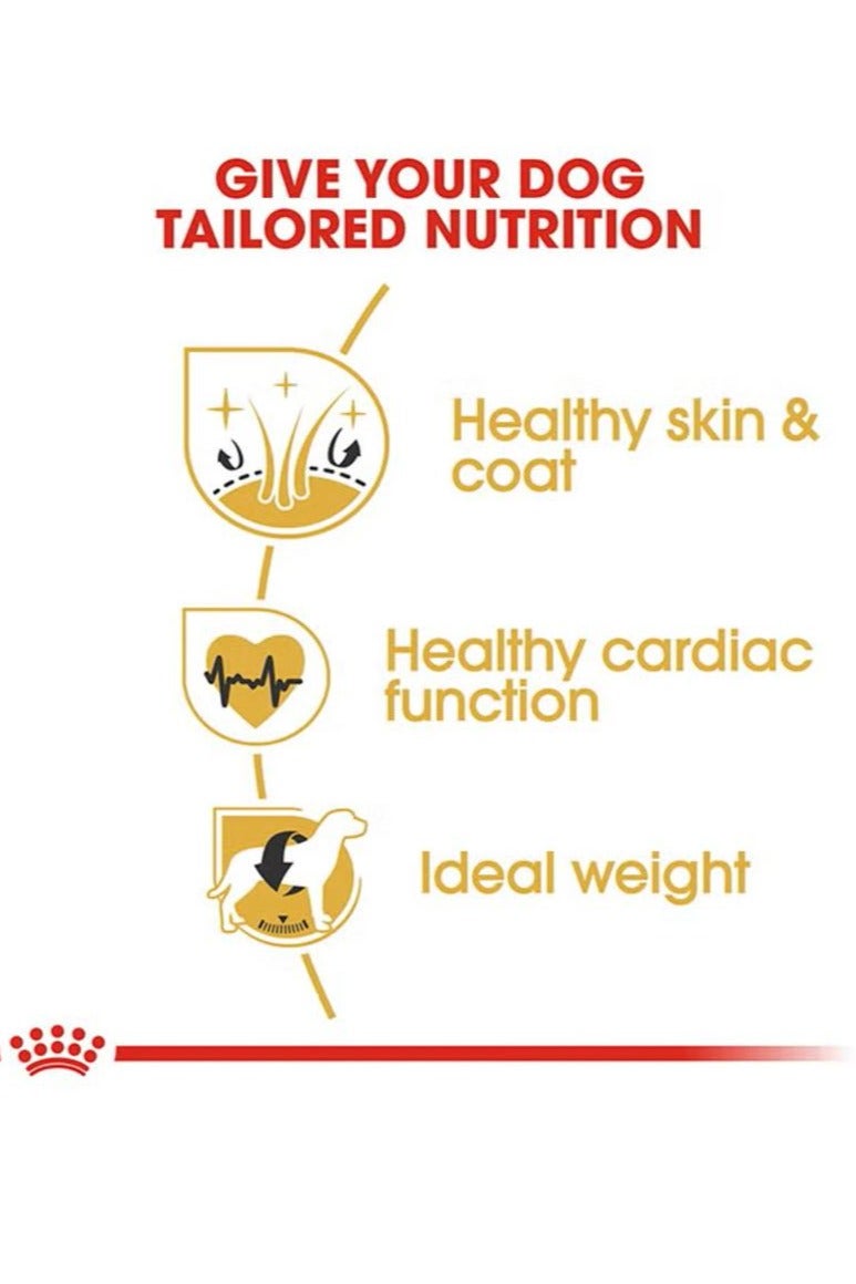 رويال كانين تغذية صحة السلالة للذهب المسترد البالغ 12 كجم - Image 4