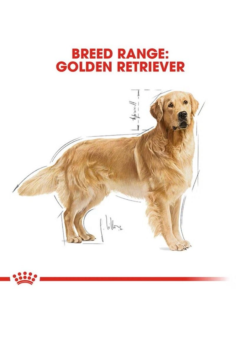 رويال كانين تغذية صحة السلالة للذهب المسترد البالغ 12 كجم - Image 5