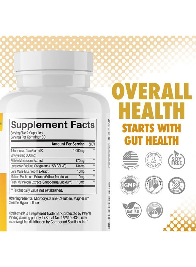 DR EMIL NUTRITION مجمع صحة الأمعاء الشامل - مكملات صحة الأمعاء للبروبيوتيك + البريبايوتيك + البوستبيوتيك للنساء والرجال - بروبيوتيك لصحة الهضم وصحة الأمعاء، 60 كبسولة - Image 2