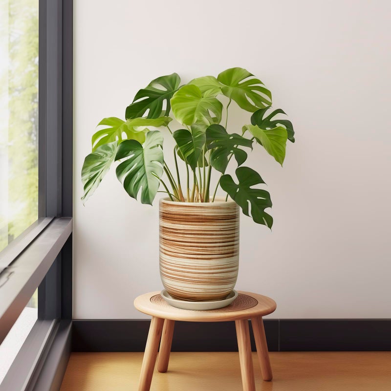 SUNPOTFOR 8 Inch Plant Pot, Ceramic Planter for Outdoor Plants, Large Plant Pot Indoor with Drainage Hole and Saucer, Modern Flower Pot for Home Garden Decor Yellow - Image 5