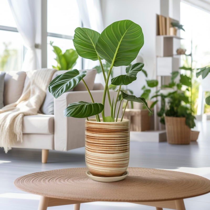 SUNPOTFOR 8 Inch Plant Pot, Ceramic Planter for Outdoor Plants, Large Plant Pot Indoor with Drainage Hole and Saucer, Modern Flower Pot for Home Garden Decor Yellow - Image 2