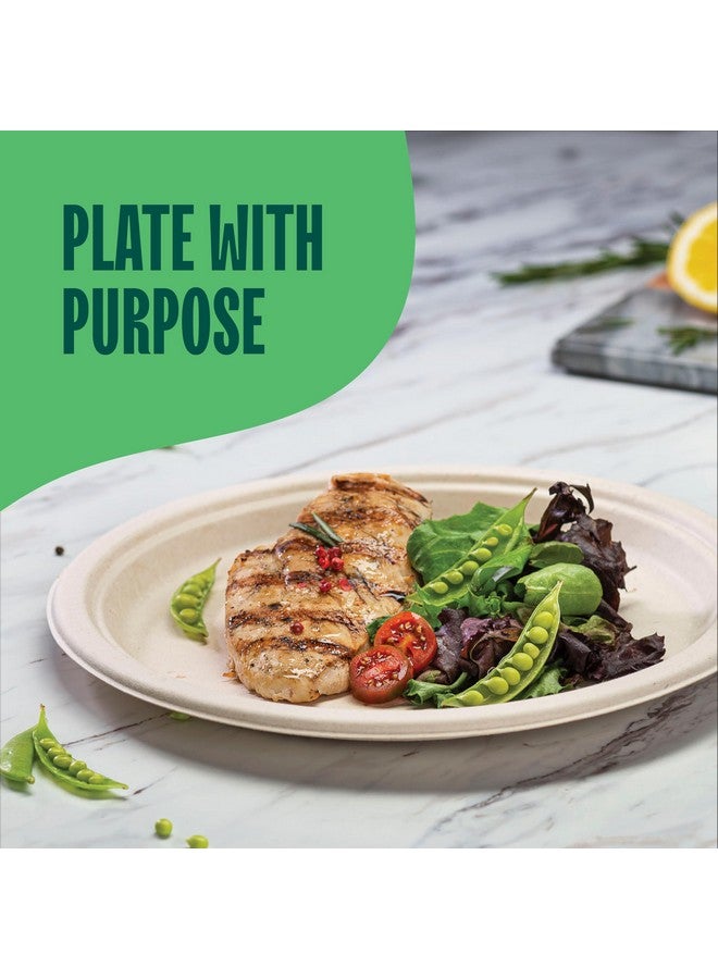 Stack Man Paper Plates, 100% Compostable Heavy Duty Disposable 10 Inch Plate - [125-Pack] - {PFAS-Free} - {BPI Certified} Eco-Friendly, Biodegradable Bagasse - Image 3