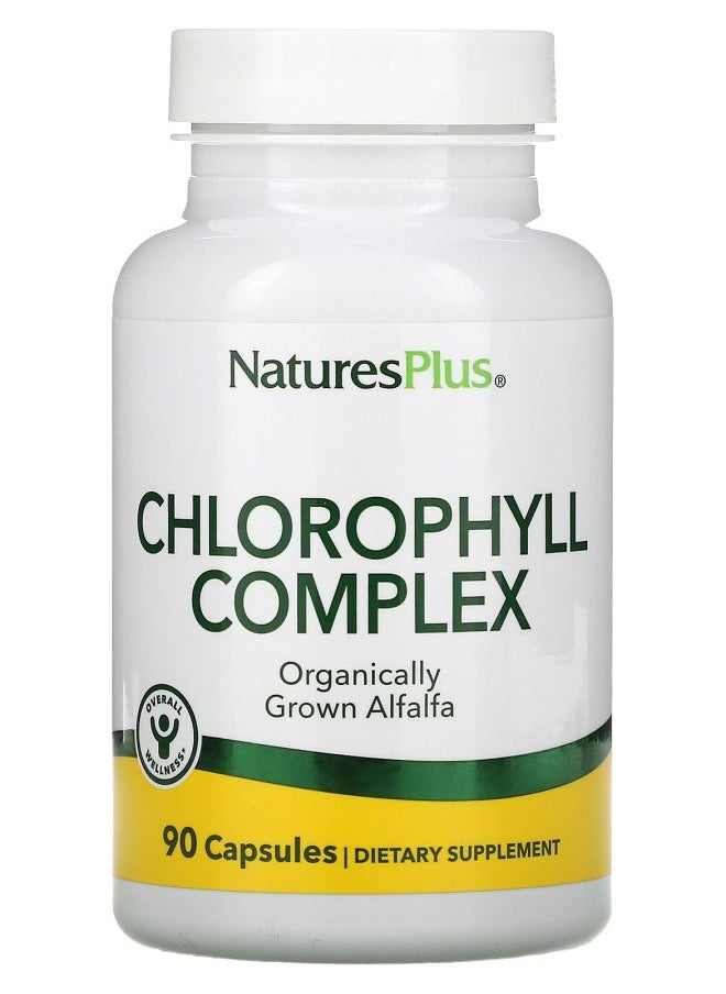 NaturesPlus Chlorophyll Complex 90 Capsules 