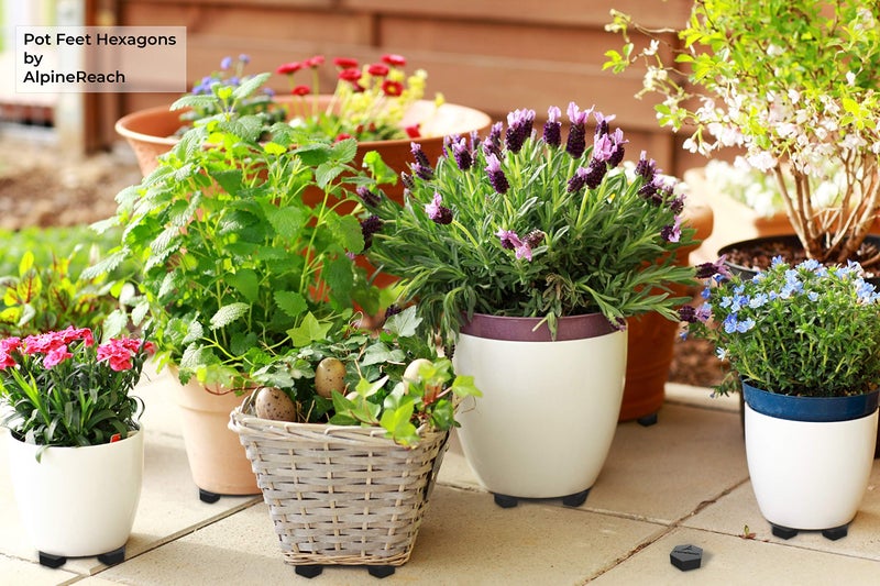 AlpineReach Extra Heavy Duty Pot Feet Risers 20 Pack Hexagons & Adhesive Pads - Protect Healthy Plants - Strong Invisible Supports Small Large Flower Planters Stability - Outdoor Lifter Toes Elevator - Image 3