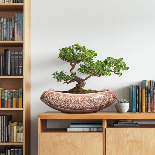 Teagas Large Bonsai Pots - 18 Inch Ceramic Succulent Pots with Drainage Hole, Bonsai Planter for Indoor Outdoor Plants, Ceramic Flower Pot, Decorative Plant Pot, Home Decor, Birthday Gifts, Red-Brown - Image 3