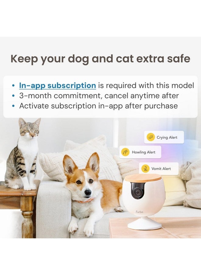 فيربو كاميرا Furbo Mini Pet - كاميرا قابلة للفتح وميزات ذكية مع باقة مدفوعة: أمان منزلي مع تنبيهات سلامة الكلاب والقطط، صوت ثنائي الاتجاه، كاميرا ذكية قابلة للتركيب مع تطبيق هاتف (يتطلب اشتراكًا، الحد الأدنى 3 أشهر) - Image 2