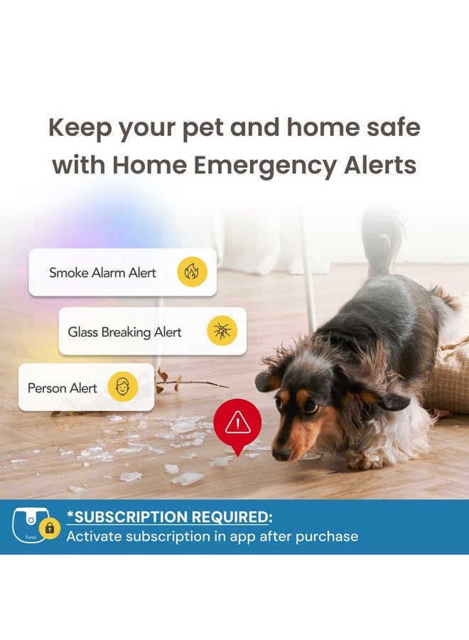 فيربو كاميرا Furbo Mini Pet - كاميرا قابلة للفتح وميزات ذكية مع باقة مدفوعة: أمان منزلي مع تنبيهات سلامة الكلاب والقطط، صوت ثنائي الاتجاه، كاميرا ذكية قابلة للتركيب مع تطبيق هاتف (يتطلب اشتراكًا، الحد الأدنى 3 أشهر) - Image 4