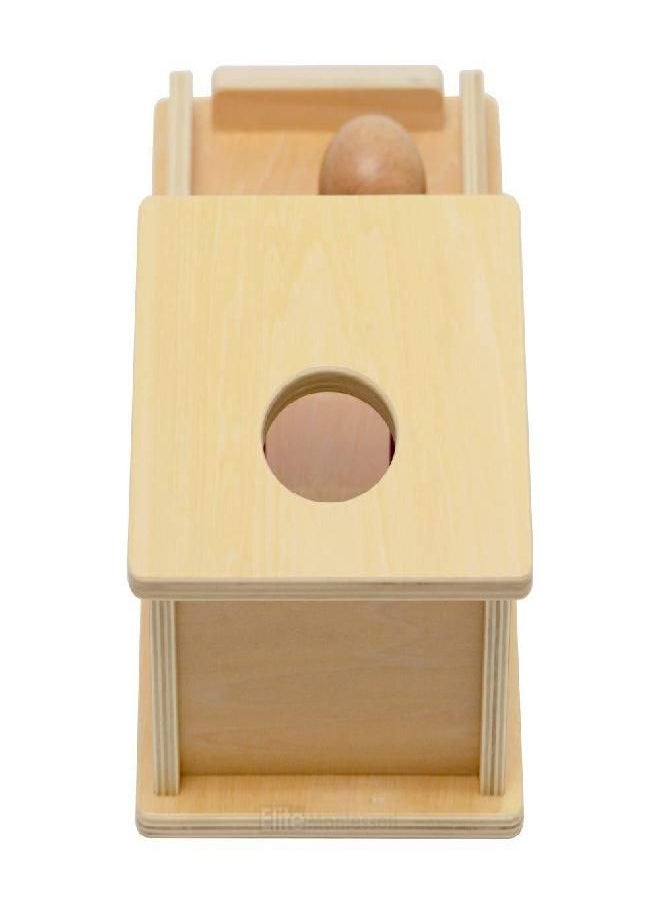 Elite Montessori Object Permanence Box with Tray and Ball - pzsku/Z31523A2D50B0572F4150Z/45/_/1686915476/89a84303-cd1e-4233-a503-cfa7c576589c