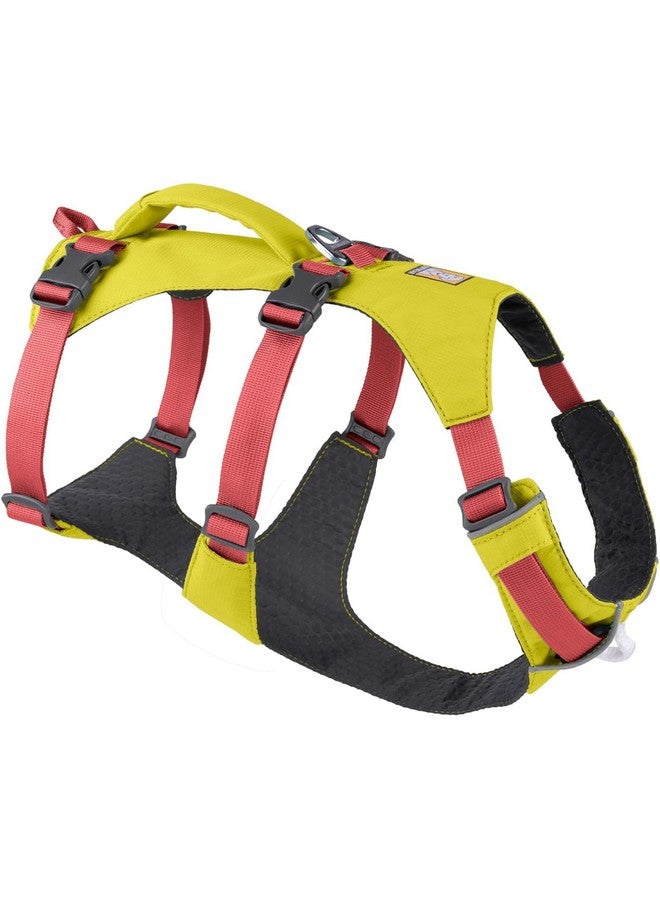 Ruffwear, Flagline Dog Harness, Lightweight and Reflective, No Pull Dog Lift Harness for Hiking, Running and Everyday Use, Lichen Green, Medium - Image 1