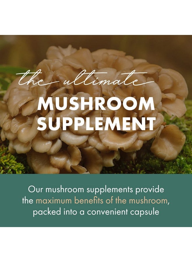 PURE ESSENCE LABS MyPure Maitake Mushrooms - Mushroom Powder Supplement for Immune System Support, Stress Relief, Build Energy, Strength Booster for Men & Women - 1 Month Supply - Image 3