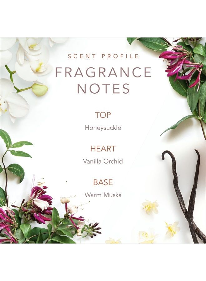 SCENT BEAUTY Dolly Parton Body Mist Perfume for Women - 8.0 Fl Oz - Tennessee Sunset - Image 4