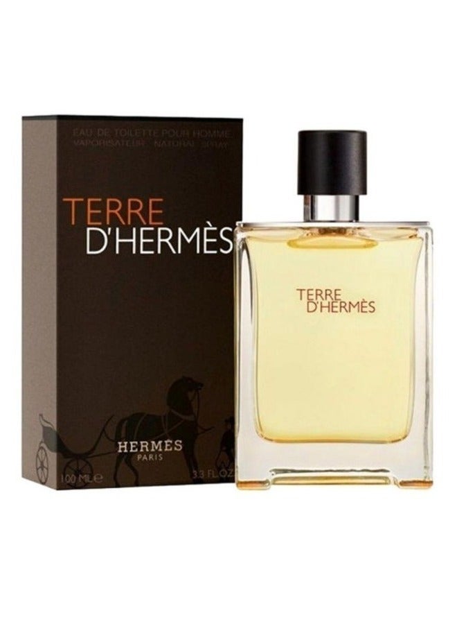 عطر هيرمس تيري دي  للرجال 100 مل