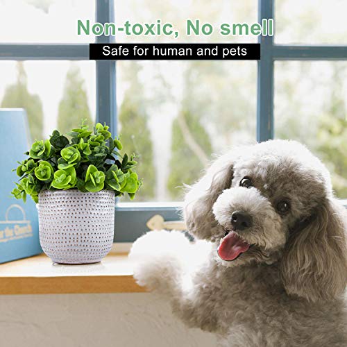 Karlliu Artificial Plants in Ceramic Planter Cute Lysimachia Fake Succulent Flowers Potted for Home Office Table Desk Decor Living Room Bathroom Bedroom Shelves Decoration - Image 3