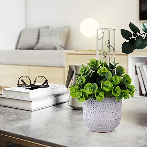 Karlliu Artificial Plants in Ceramic Planter Cute Lysimachia Fake Succulent Flowers Potted for Home Office Table Desk Decor Living Room Bathroom Bedroom Shelves Decoration - Image 4