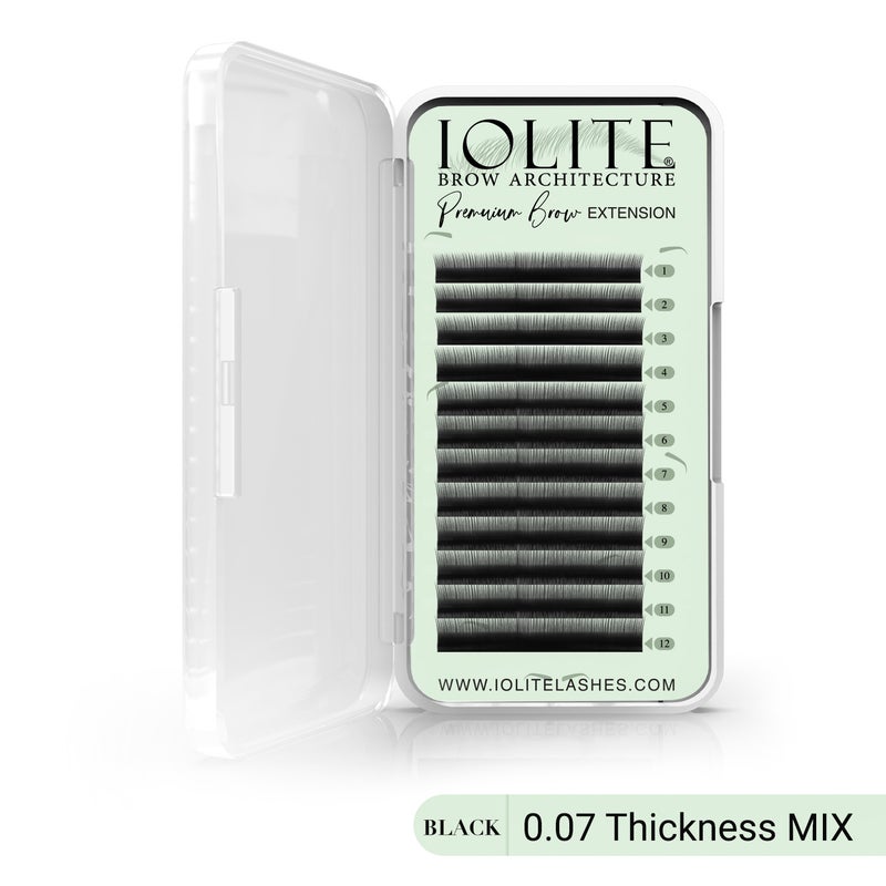 IOLITE Premium Eyebrow Extension Brow Natural False Eyebrows in Tray - Brow Extension 0.10T Thickness ; Length - 8mm, 9mm, Mix - Black - Mix
