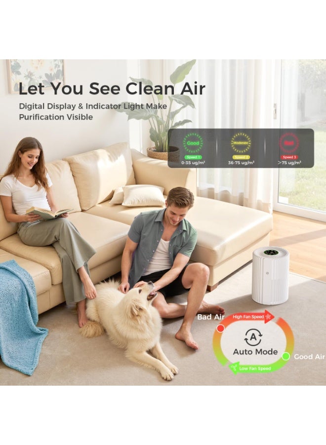 ibsun Air Purifiers For Bedroom And Home With Air Quality Display 20㎡ True H13 HEPA Pet Air Purifier For Dorm Room With 360° Air Intake & Outlet For Bedroom Office, ZY1088W - Image 2