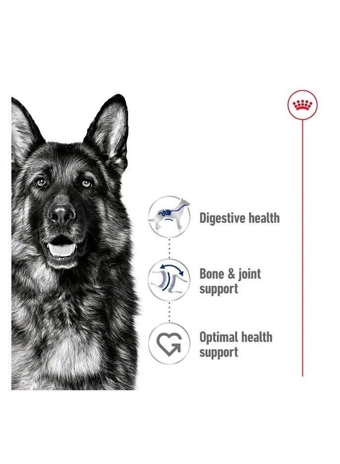 Royal Canin Maxi Adult 15 Kg Health Nutrition Dog Food - Image 5