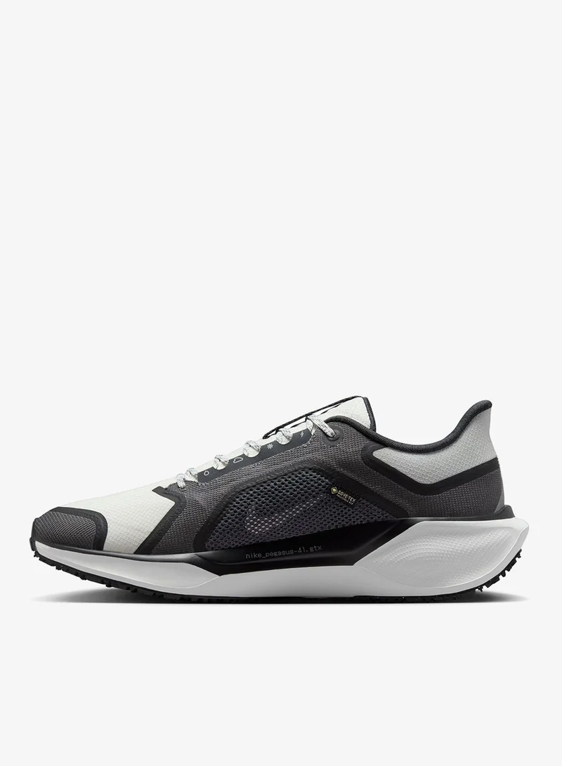 Nike Nike Pegasus 41 GORE-TEX