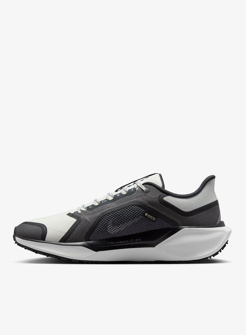 Nike Pegasus 41 GORE-TEX - Image 2