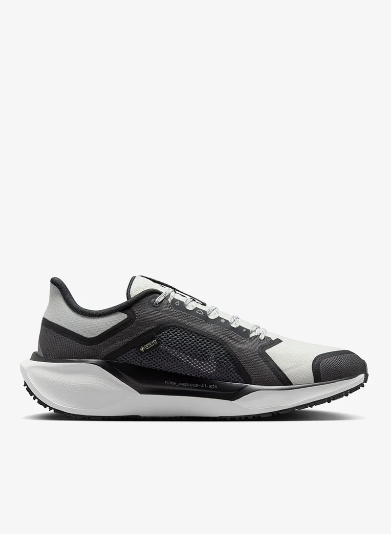Air Zm Pegasus 41 Gtx