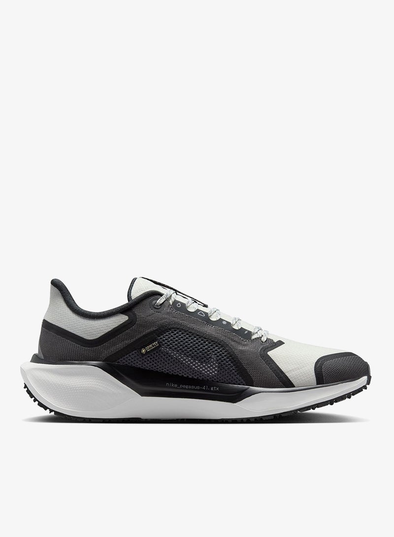 Nike Pegasus 41 GORE-TEX - Image 1
