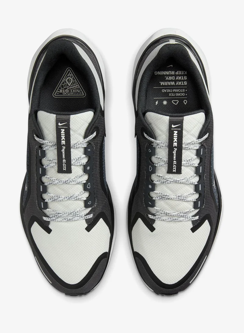 Nike Nike Pegasus 41 GORE-TEX