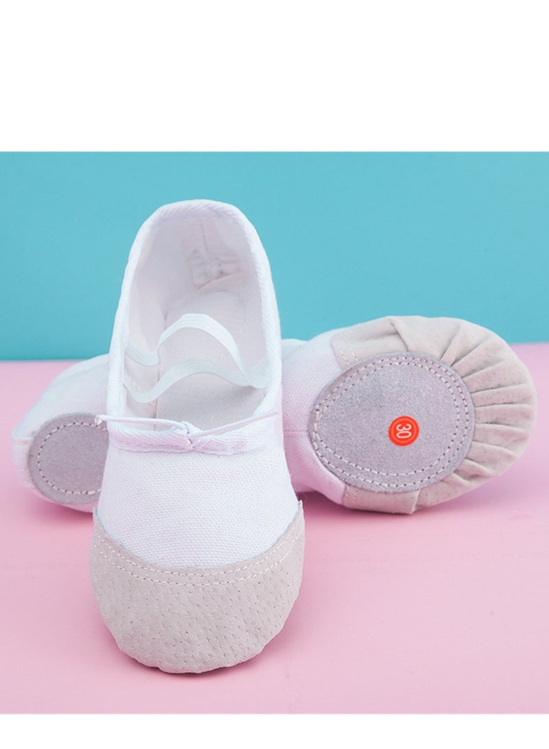 Loquat Dance Shoes Women Soft Sole Ballet Dance Yoga Special Shoes White  - Image 1
