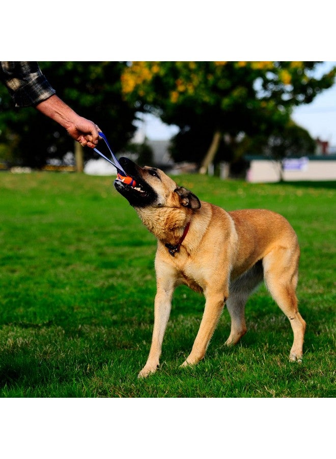Chuckit! Ultra Tug Dog Toy, Medium Fetch and Dog Ball Tug Toy for Dogs 20-60 Pounds - Image 1