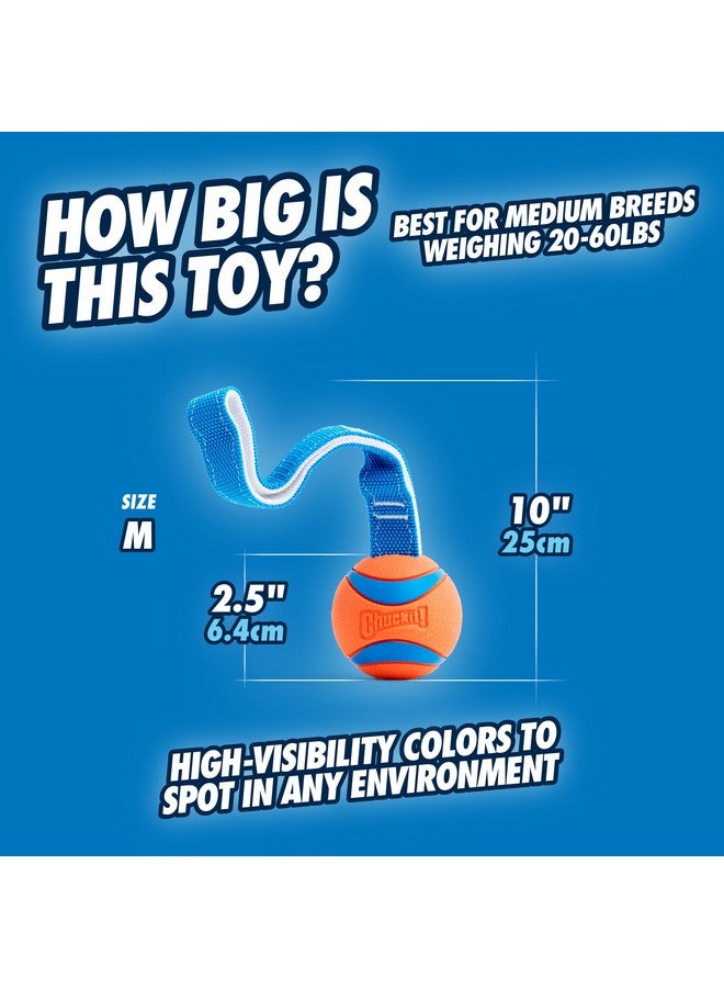Chuckit! Ultra Tug Dog Toy, Medium Fetch and Dog Ball Tug Toy for Dogs 20-60 Pounds - Image 3