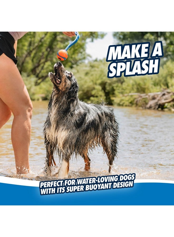 Chuckit! Ultra Tug Dog Toy, Medium Fetch and Dog Ball Tug Toy for Dogs 20-60 Pounds - Image 4