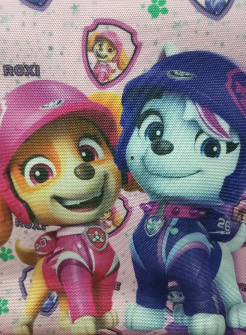 PAW PATROL Paw Patrol Girls' Insulated Lunch Box, 23 x 21x 5.8 cm, Pink