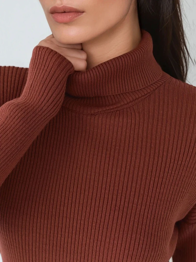MY FASHION Walnut Brown MY FASHION Ribbed Turtleneck Bodycon Knit Dress for Women | Best Price UAE