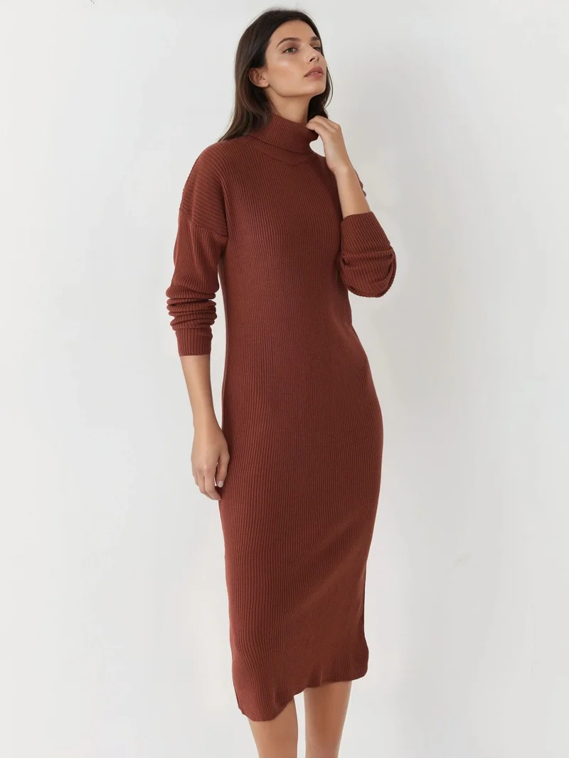 MY FASHION Walnut Brown MY FASHION Ribbed Turtleneck Bodycon Knit Dress for Women | Best Price UAE